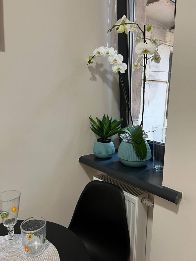 Demar Doroshenka Apartment *
